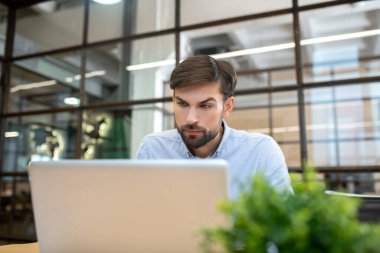 Bearded man in a blue shirt working on the laptop and looking concentrated