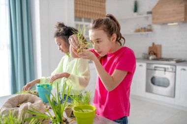 Masanın yanında saksısı ve zemini olan iki kız..