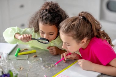 İki kız bir masada oturmuş, bitkilerin köklerine bakıyor..