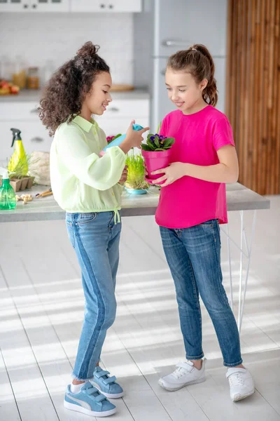 Duas namoradas de pé com uma panela de violetas na cozinha . — Fotografia de Stock