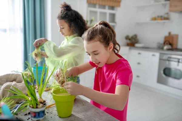 Két lány áll az asztal mellett, növényekkel a kezükben.. — Stock Fotó