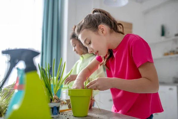 Menina em uma blusa rosa plantando uma planta verde em vaso . — Fotografia de Stock