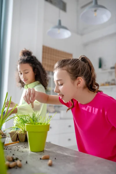 Teenager-Mädchen pflanzt Samen in einen Topf zu Hause. — Stockfoto