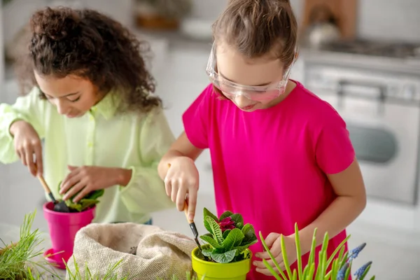 Duas crianças plantando flores em vasos em casa . — Fotografia de Stock