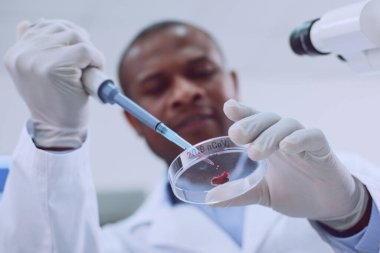 Ciddi bir bilimsel araştırmacı kan testi yapıyor.