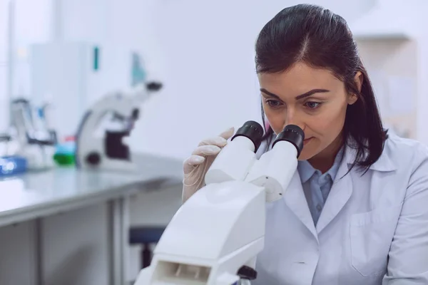 Investigadora concentrada a olhar para o microscópio — Fotografia de Stock