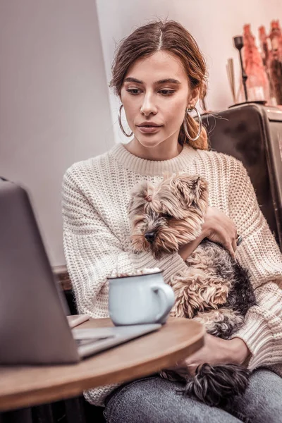 Вертикальне фото молодої жінки, що працює в кафе зі своєю собакою — стокове фото