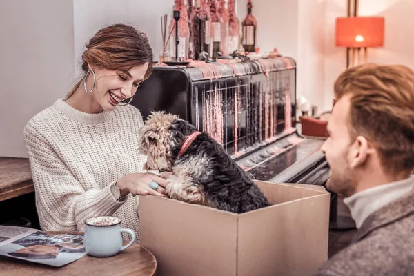 Kadın inanılmaz bir hediye aldı. Erkek, yavru köpeği kadına hediye ediyor. — Stok fotoğraf