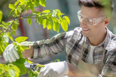 Koruyucu gözlüklü ve eldivenli koyu renk saçlı erkek dışarıda dalları buduyor.