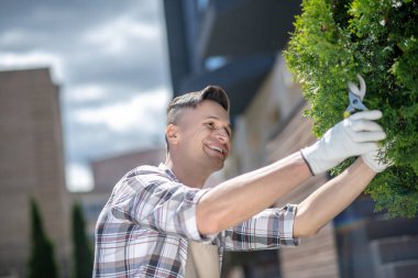 Siyah saçlı, koruyucu eldivenli bir erkek bahçedeki ağaç dallarını buduyor, gülümsüyor.