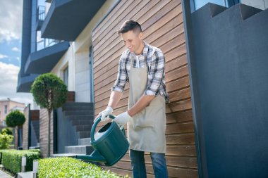 Koruyucu eldivenler ve önlükle, çalıları sulayan, gülümseyen koyu renk saçlı, keyifli bir erkek.