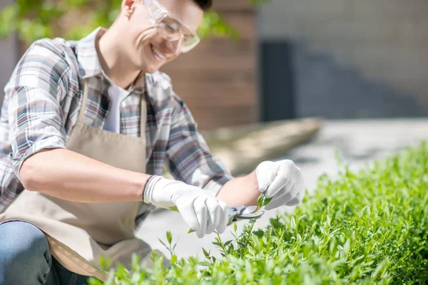 Involved dark-haired male in protective glasses and gloves pruning bushes outside, smiling, crouching — Stock Photo, Image