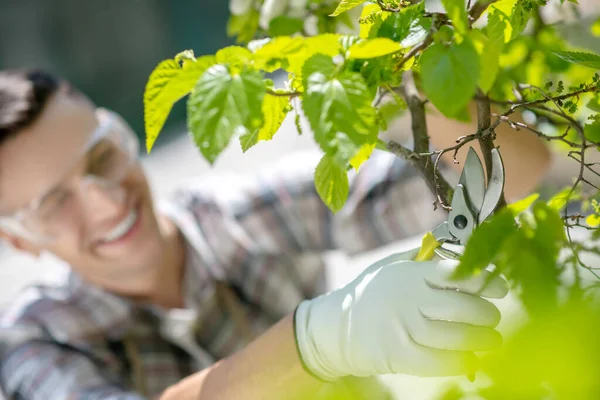 Delighted dark-haired male in protective glasses and gloves trimming tree outside — Stock Photo, Image