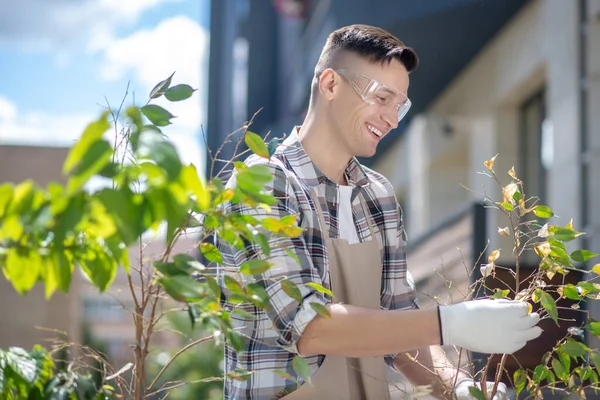 Koruyucu gözlüklü ve eldivenli mutlu siyah saçlı erkek bahçedeki dallara dokunuyor, gülümsüyor.
