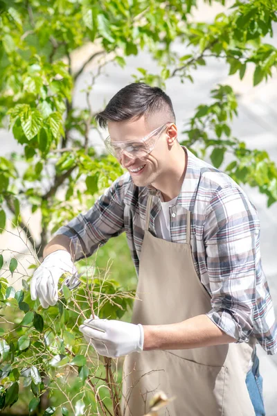 Delighted dark-haired male in protective glasses and gloves trimming tree outside — Stock Photo, Image