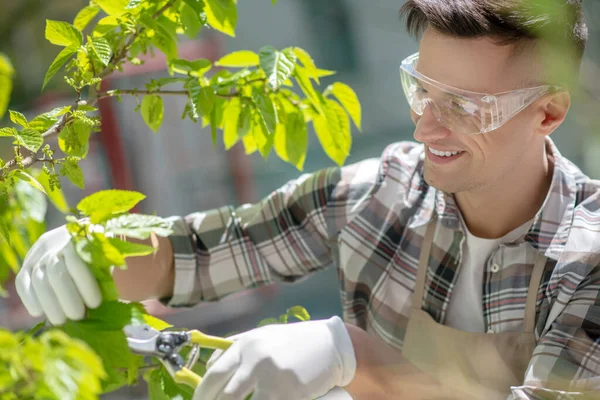 Koruyucu gözlüklü ve eldivenli koyu renk saçlı erkek dışarıda dalları buduyor.