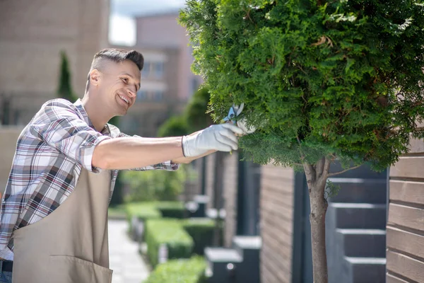 Siyah saçlı, koruyucu eldivenli bir erkek bahçedeki ağacı buduyor, gülümsüyor.