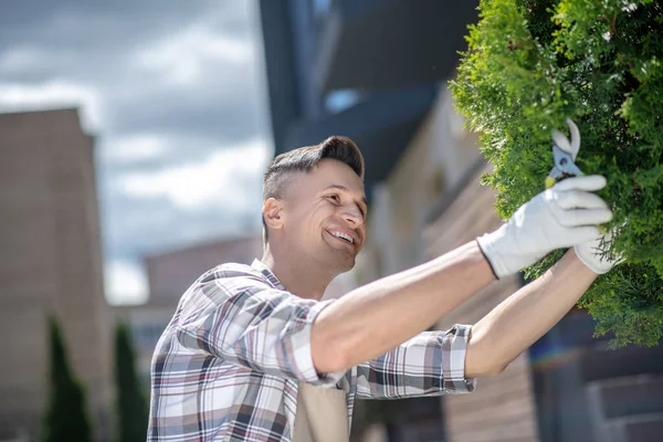 Siyah saçlı, koruyucu eldivenli bir erkek bahçedeki ağaç dallarını buduyor, gülümsüyor.