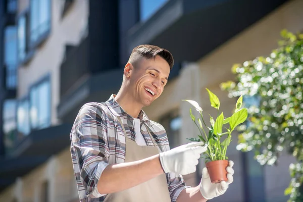 Koruyucu eldivenler ve önlükler giymiş koyu renk saçlı erkek uzay filium yapraklarına dokunuyor, gülümsüyor.