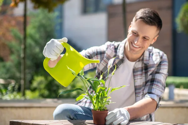 Smiling dark-haired male in protective gloves crouching, watering spatifilium with watering can in the yard — Stock Photo, Image