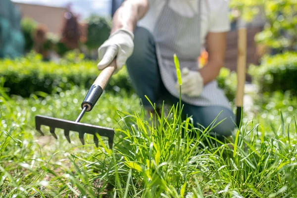 Închidere de mâini de sex masculin în mănuși de protecție raking iarbă în curte — Fotografie, imagine de stoc