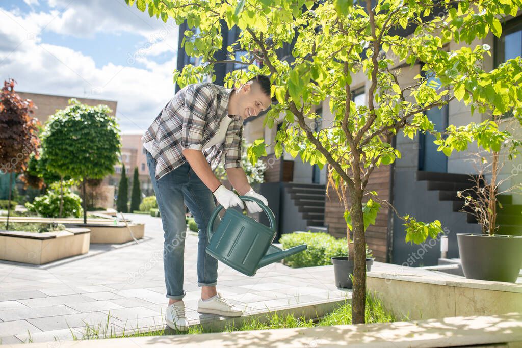 Smiling dark-haired male in protective gloves, bending, watering tree with green watering can in the yard