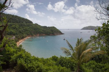 Güneşli bir günde, Karayip Denizi 'ndeki körfez manzarası, Tobago adası. Seyahat, dünya turizmi.
