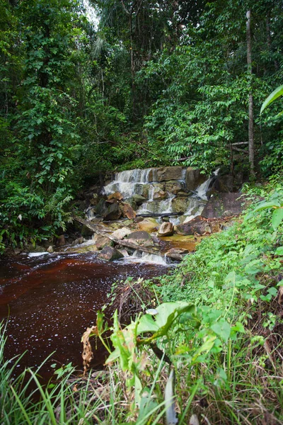 Vattenfall Klar Solig Dag Mitt Djungel Palmer Och Vinrankor Tobago — Stockfoto