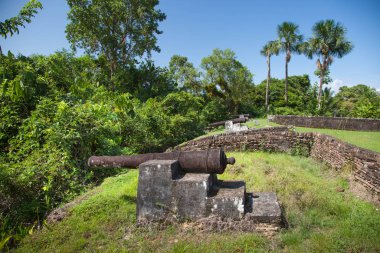 Tropiklerdeki Zeelandia Kalesi 'ndeki antik kale topu yeşil ağaçların ve palmiye ağaçlarının arka planına karşı, Guyana. Ortaçağ mimarisi, dünya turizmi.