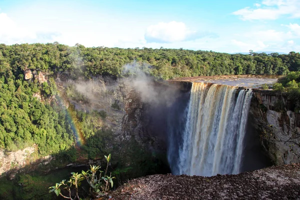 Güzel ve güçlü Kaieteur şelalesinin manzarası açık güneşli bir günde ormanın arka planında, şelalenin yüksekliği 221 metredir, Guyana. Dünya turizmi, macera, eko-turizm.