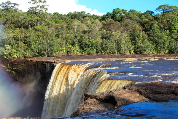 Güzel ve güçlü Kaieteur şelalesinin manzarası açık güneşli bir günde ormanın arka planında, şelalenin yüksekliği 221 metredir, Guyana. Dünya turizmi, macera, eko-turizm.
