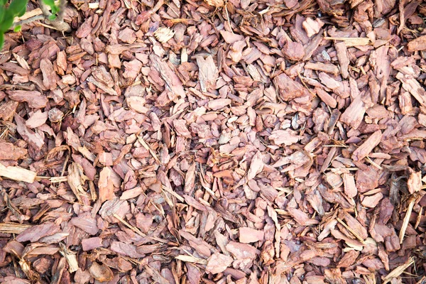 Sfondo Fatto Chip Colore Marrone Aspersione Arbusti Sfondi Texture — Foto Stock