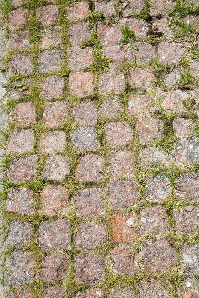 View Track Square Granite Blocks Sprouted Green Grass Design Backgrounds — Stock Photo, Image