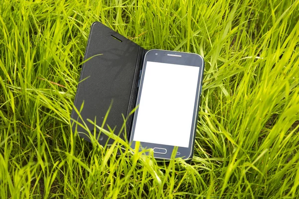 Cell Phone in Bright Green Grass Place Text Comment Concept