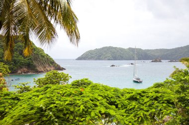 Tobago Subtropik Dünya Turizmi 'nin Karayip Adası' ndaki Körfez Manzarası