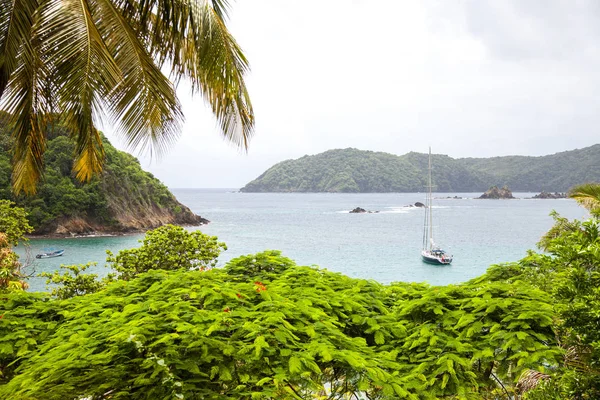 Pohled Záliv Karibiku Ostrova Tobago Subtropics World Tourism — Stock fotografie