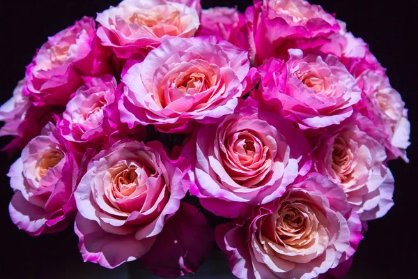 Bouquet of pink orange peach roses on a dark background. Selective focus. Agriculture Floriculture flora.