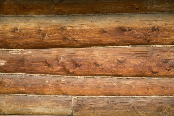 Muur Oud Achtergrond Van Enorme Oude Stammen Van Naaldbomen Met — Stockfoto