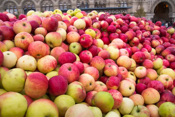 Яблоки Красный Зеленый Розовый Vnaval Городской Площади Сельское Хозяйство Садоводство — стоковое фото