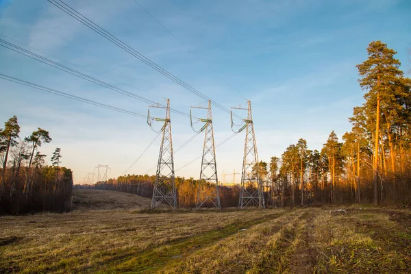 Power line in late autumn on the background of forest clearing in the rays of the setting sun. Landscape, nature, technology, ecology.