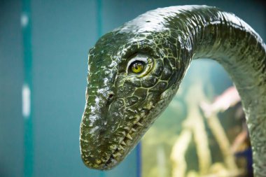 Dinozor kafası mavi bir arka planda yeşildir. Hayvanlar, tarih öncesi hayvanlar, fosiller.