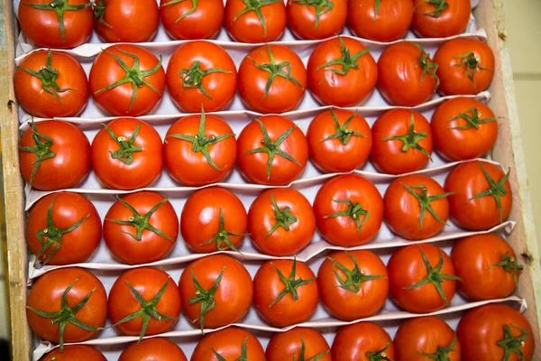 Красные Помидоры Зелеными Нарезками Выложены Рядами Деревянную Коробку Овощи Полезные — стоковое фото