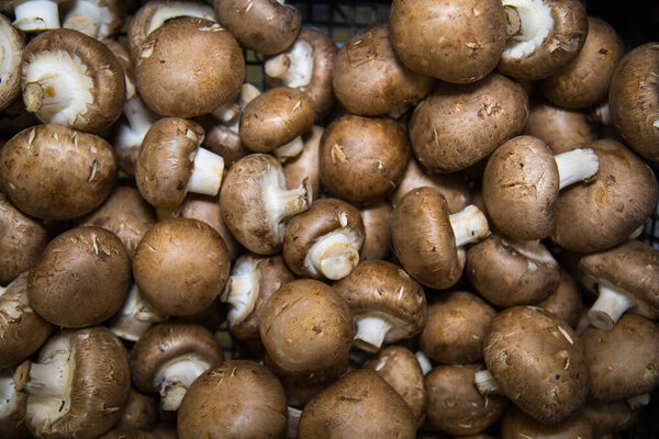 Fresh mushrooms Royal mushrooms in a plastic box. Vegetables, fruits, useful products.