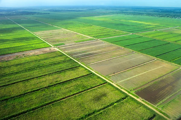 Su kanallı tarlaların kuş bakışı görüntüsü, uçaktan alındı, Georgetown, Guyana banliyösü, manzara, dünya turizmi