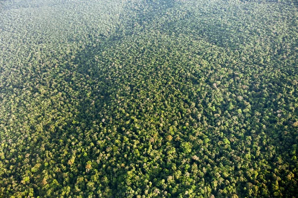 Bird's-eye view of the jungle with hills mountains, taken from the plane, Guyana, landscape, World tourism