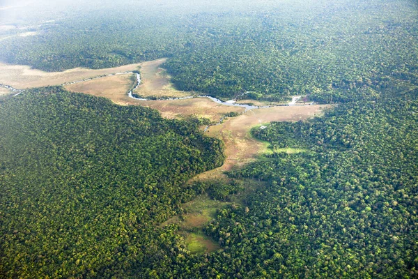 Fågelperspektiv Floden Och Djungeln Tagen Från Planet Sydamerika Landskap Världsturism — Stockfoto