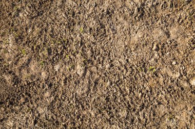 Baharın başlarında sebze toprağının arka planı. Arkaplan ve dokular.