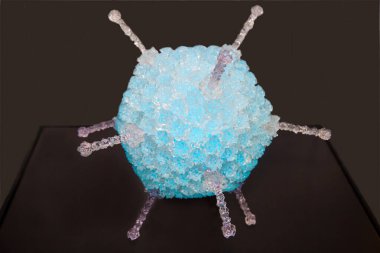 İnsan adenovirüsü (lat. Koyu arkaplanda bulunan Adenoviridae (Adenoviridae) mavisi, adenovirüsler akut solunum viral enfeksiyonları grubuna (ARVI) aittir. İlaç, virüs, hastalıklar..
