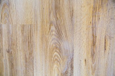 Grönland meşe ağacının arka planında açık kahverengi leylak rengi ve güzel bir ağaç yapılı düğüm var. Tasarım arka plan dokusu inşaatı.