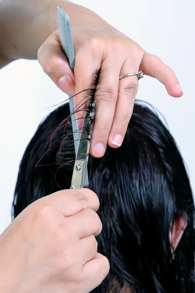 A stylish haircut of a woman. — Stock Photo, Image